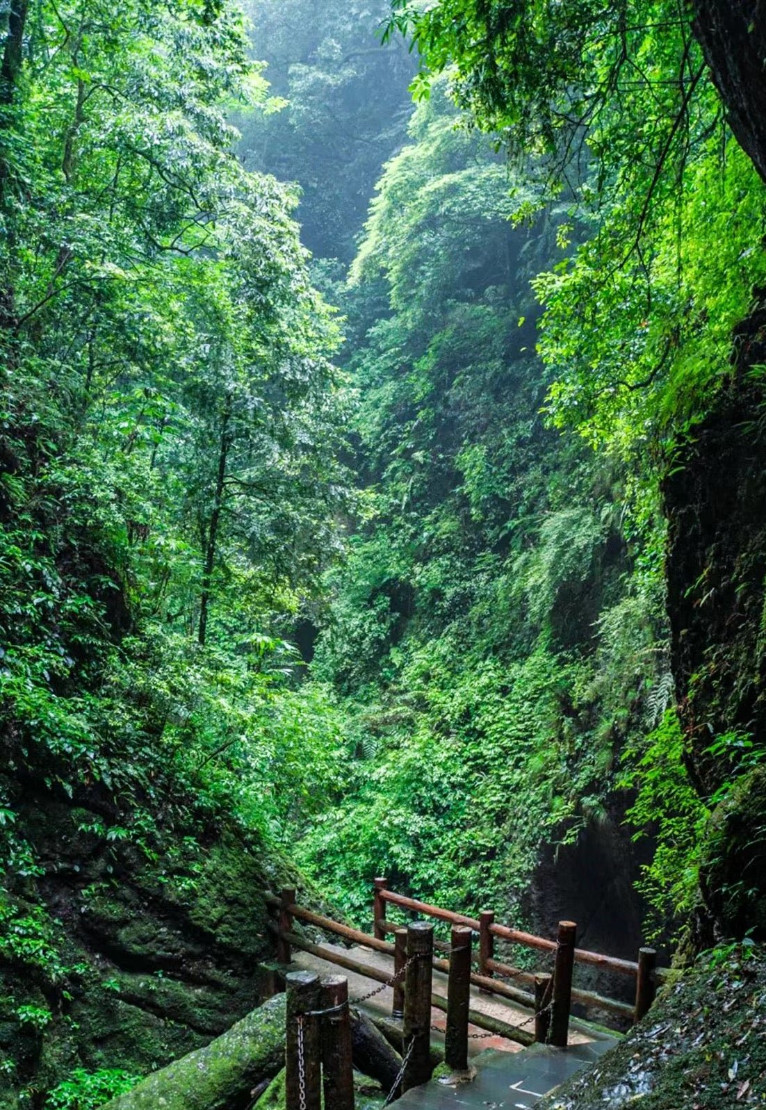 3 Days heart of chengdu mount-qingcheng tour